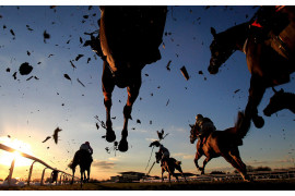 Zwycięzca w kategorii "Konie", Sunset horse jump, Mike Egerton, Press Association