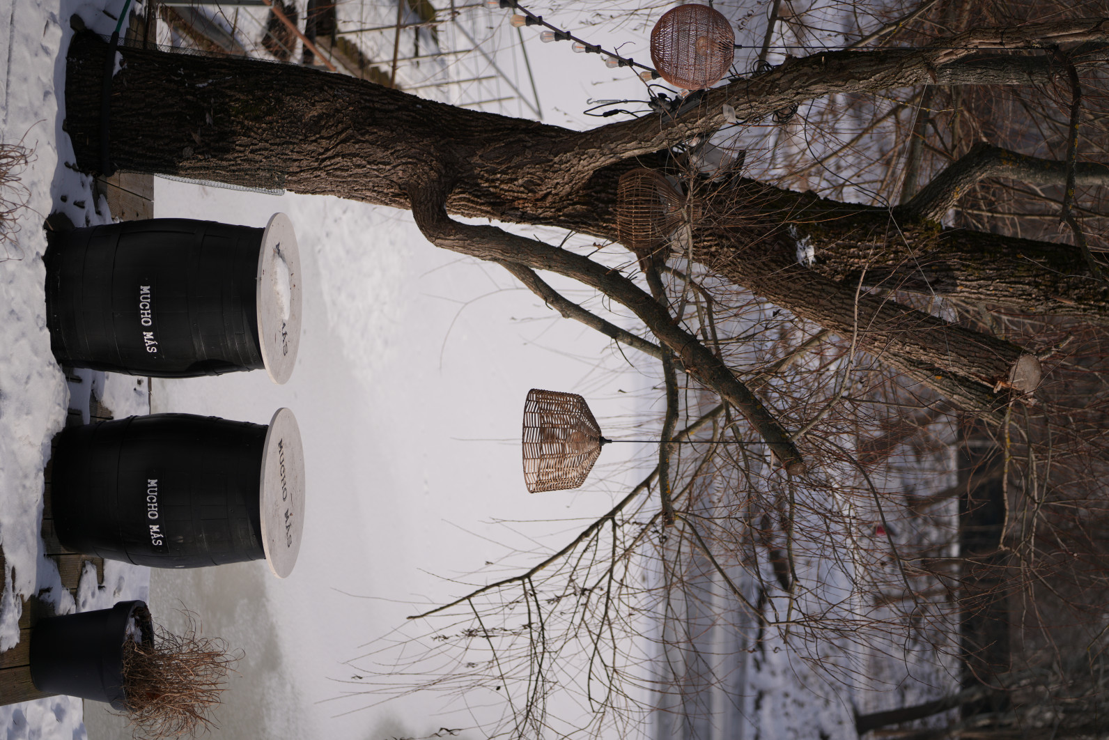 1/2500 s, f/2.8, ISO 100, 81.0 mm