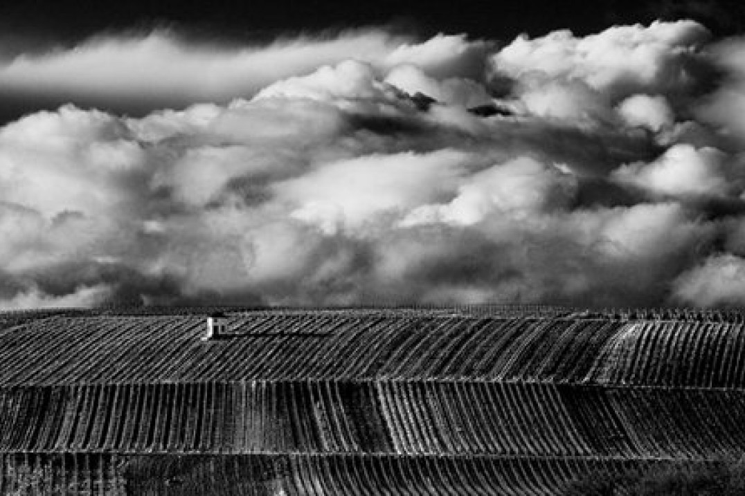 Wybrane zdjęcia z drugiego etapu konkursu Sony World Photography Awards 2015