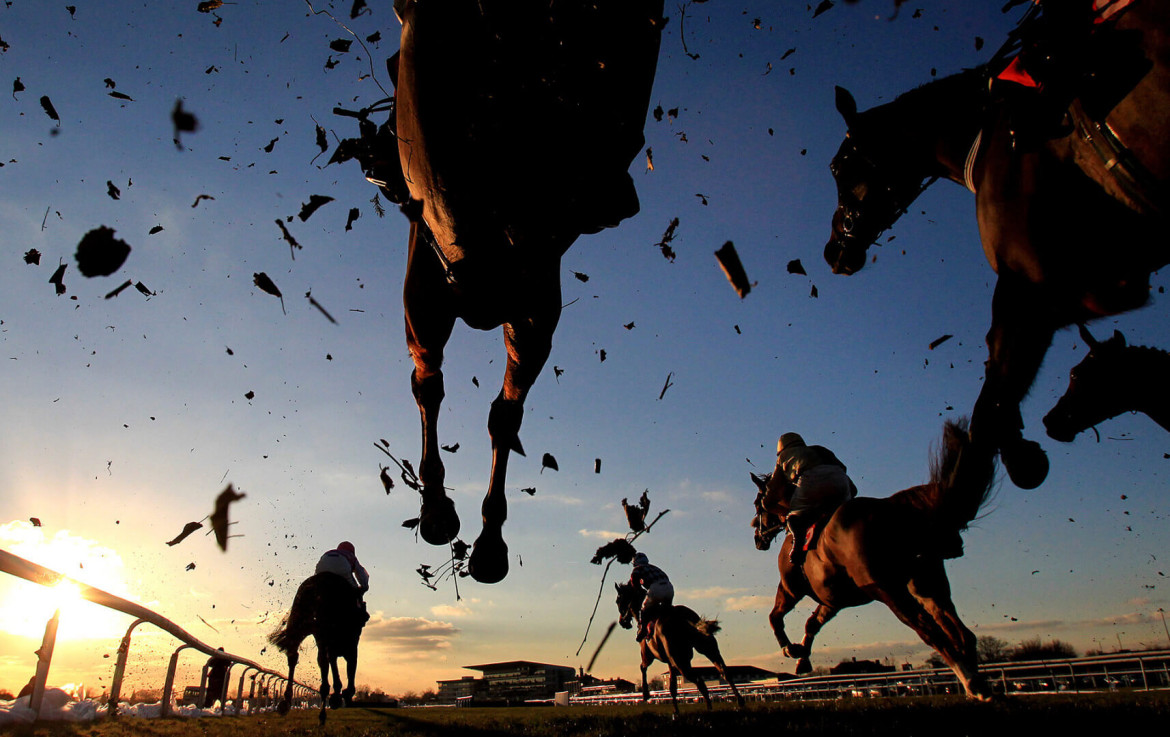 Zwycięzca w kategorii "Konie", Sunset horse jump, Mike Egerton, Press Association