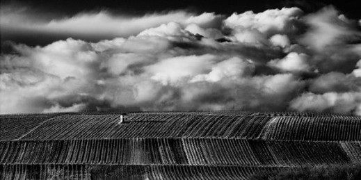 Wybrane zdjęcia z drugiego etapu konkursu Sony World Photography Awards 2015