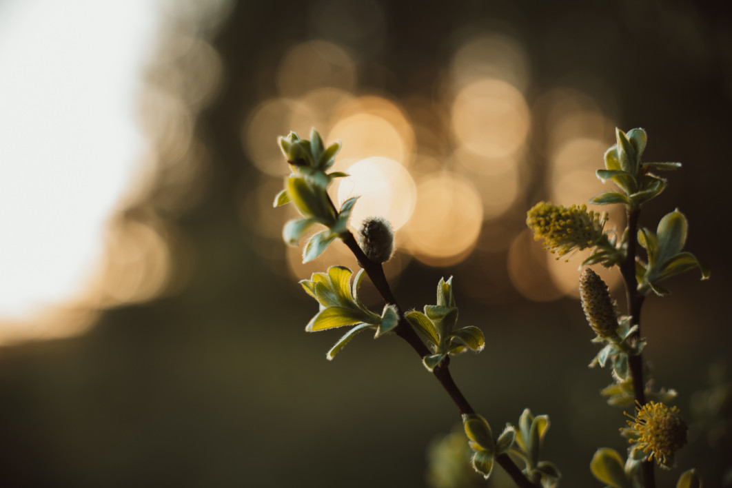 1/320 s, f/4, ISO 640, 60.0 mm