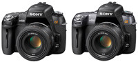 Sony A500 i A550 - dla wymagających amatorów