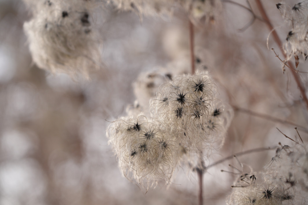 1/1600 s, f/4, ISO 400, 100.0 mm