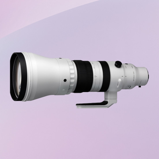 Sigma 300-600 mm f/4 DG OS Sports
