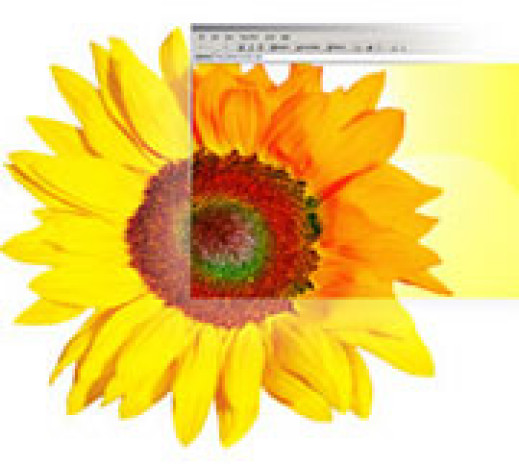 Adobe Photoshop Elements 2.0