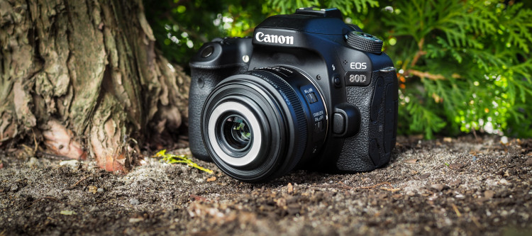 Canon rf 35mm примеры фото