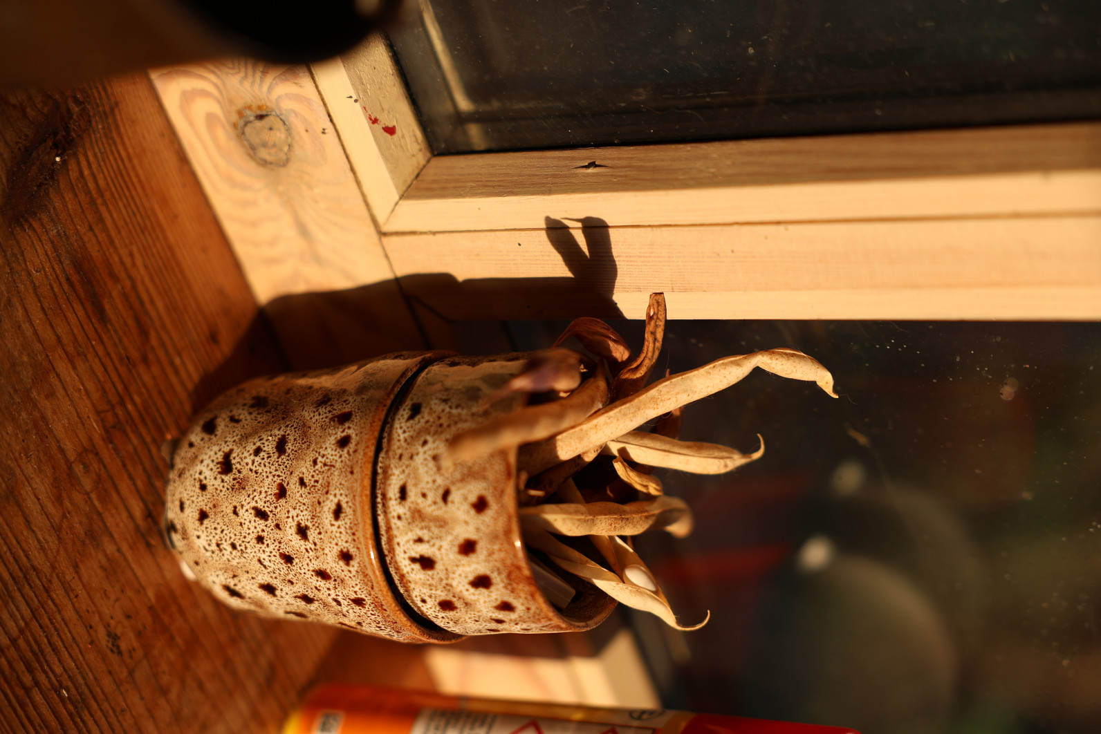 1/400 s, f/2.8, ISO 100, 70.0 mm