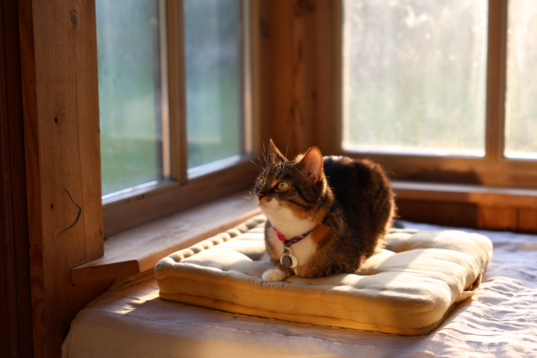 1/160 s, f/2.8, ISO 100, 70.0 mm