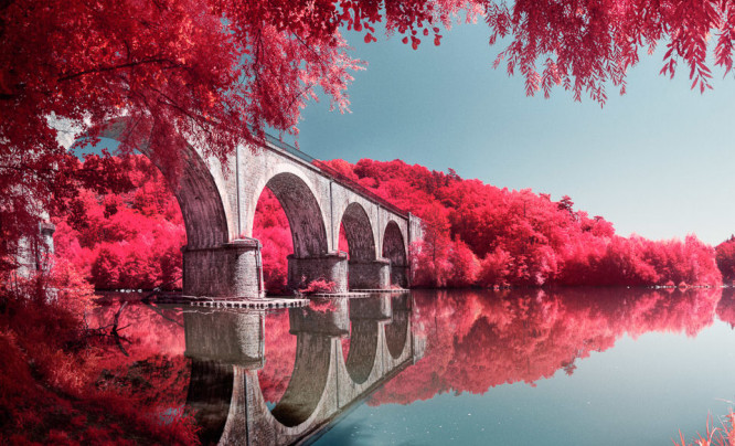 Filtr IR Chrome - fotografia w podczerwieni i efekty jak z kultowego filmu Kodak Aerochrome