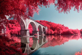 Filtr IR Chrome - fotografia w podczerwieni i efekty jak z kultowego filmu Kodak Aerochrome