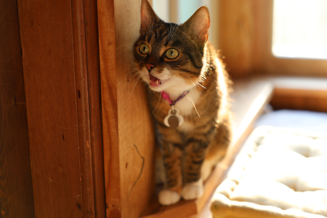 1/100 s, f/2.8, ISO 200, 70.0 mm