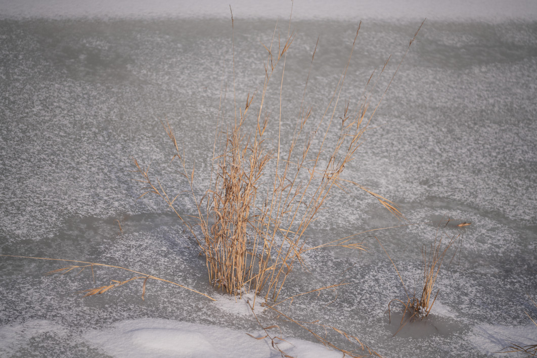 1/3200 s, f/2.8, ISO 100, 100.0 mm