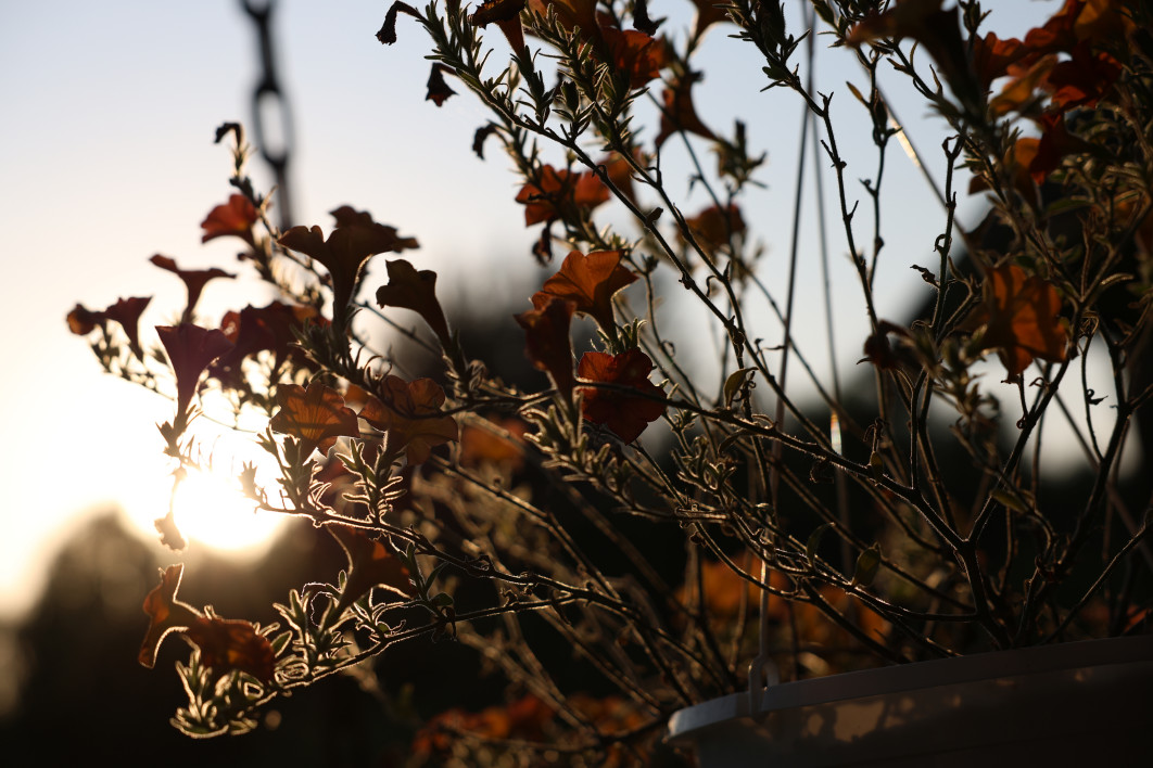 1/2000 s, f/4, ISO 100, 70.0 mm