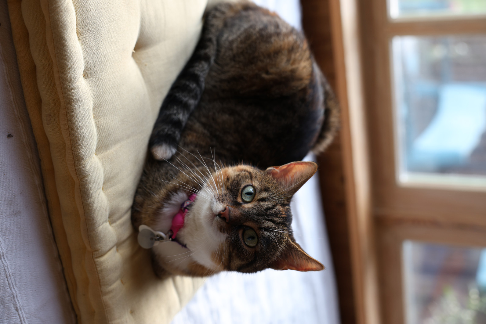 1/160 s, f/4, ISO 640, 50.0 mm
