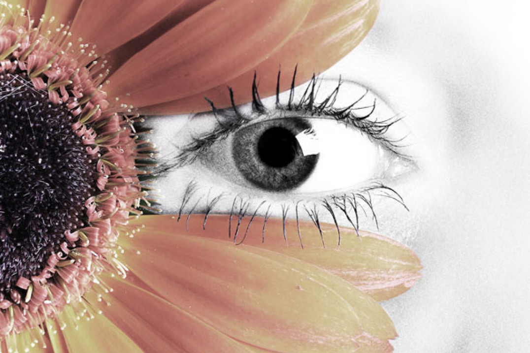 Spotkanie informacyjne Studium Fotografii ZPAF