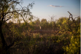 fot. Evgeny Feldman, "Hunting", finalista kategorii American Experience