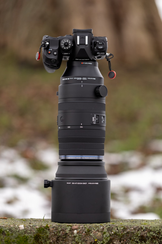 OM System M.Zuiko Digital 150-600 mm f/5-6.3 IS ED - pierwsze wrażenia i zdjęcia przykładowe