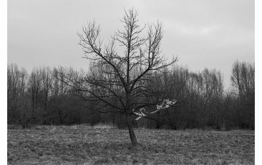 Projekt dokumentalny. Autor: Michał Patroń, magazyn „Obscurny”
Cykl fotografii realizowany na terenach byłego Generalnego Gubernatorstwa, inspirowany przewodnikiem turystycznym „Das Generalgouvernement” wydawnictwa Karla Baedekera. Książka została opublikowana na polecenie generalnego gubernatora Hansa Franka w 1943 roku z przeznaczeniem dla będących na urlopie żołnierzy Wehrmachtu, rodzin odwiedzających groby wojenne oraz niemieckich biznesmenów, dla których właśnie te ziemie okupowanej Polski były swoistym eldorado. Oprócz funkcji informacyjnych przewodnik pełnił rolę propagandową z celowym pominięciem informacji o rozgrywającym się przede wszystkim tutaj Holokauście. Zdjęcia przedstawiają współczesny obraz gett, miejsca masowych egzekucji – cmentarze żydowskie i inne ważne lokalizacje związane z realizacją planu tzw. ostatecznego rozwiązania kwestii żydowskiej. Zgromadzony materiał stanowi moje osobiste uzupełnienie do nazistowskiego bedekera.