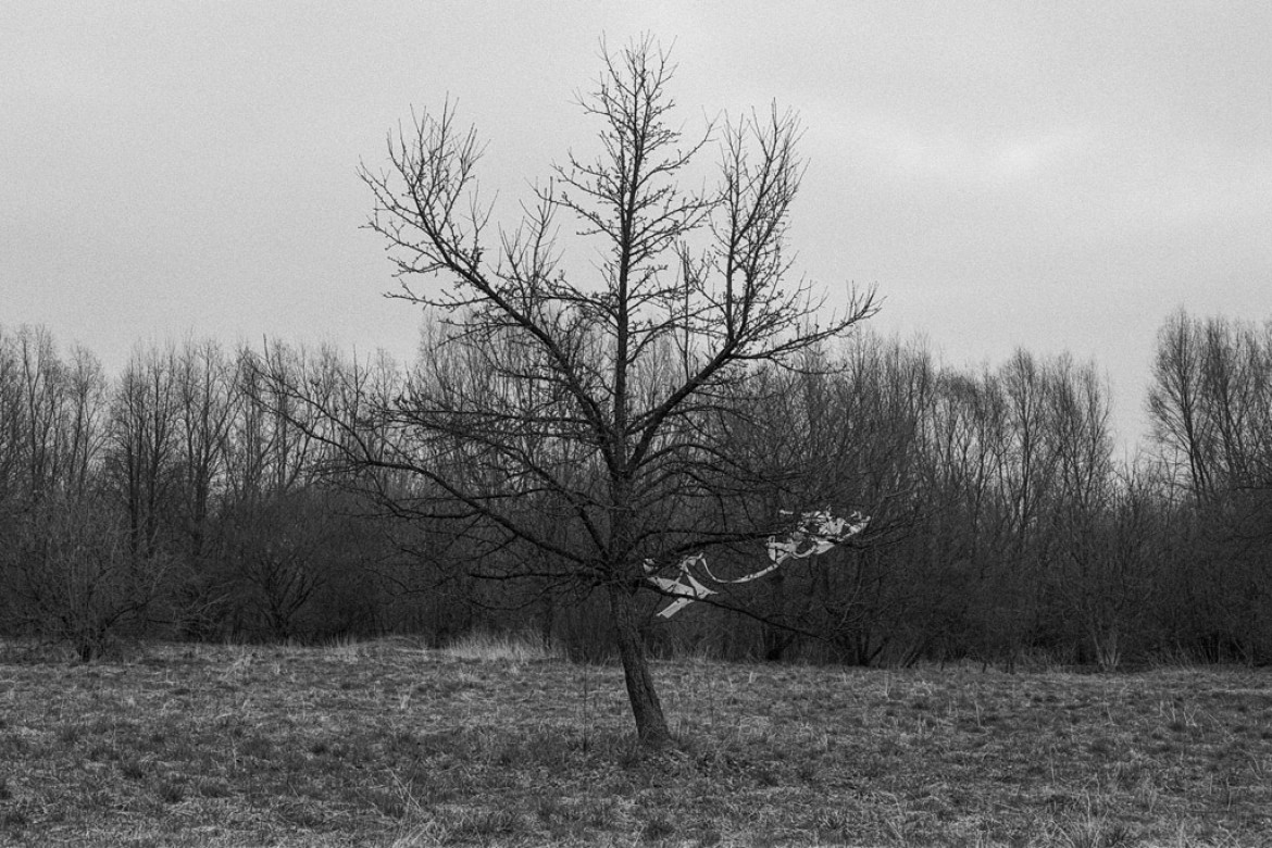 Projekt dokumentalny. Autor: Michał Patroń, magazyn „Obscurny”
Cykl fotografii realizowany na terenach byłego Generalnego Gubernatorstwa, inspirowany przewodnikiem turystycznym „Das Generalgouvernement” wydawnictwa Karla Baedekera. Książka została opublikowana na polecenie generalnego gubernatora Hansa Franka w 1943 roku z przeznaczeniem dla będących na urlopie żołnierzy Wehrmachtu, rodzin odwiedzających groby wojenne oraz niemieckich biznesmenów, dla których właśnie te ziemie okupowanej Polski były swoistym eldorado. Oprócz funkcji informacyjnych przewodnik pełnił rolę propagandową z celowym pominięciem informacji o rozgrywającym się przede wszystkim tutaj Holokauście. Zdjęcia przedstawiają współczesny obraz gett, miejsca masowych egzekucji – cmentarze żydowskie i inne ważne lokalizacje związane z realizacją planu tzw. ostatecznego rozwiązania kwestii żydowskiej. Zgromadzony materiał stanowi moje osobiste uzupełnienie do nazistowskiego bedekera.