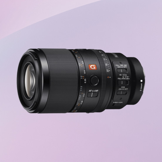 Sony FE 100 mm f/2.8 Macro GM OSS