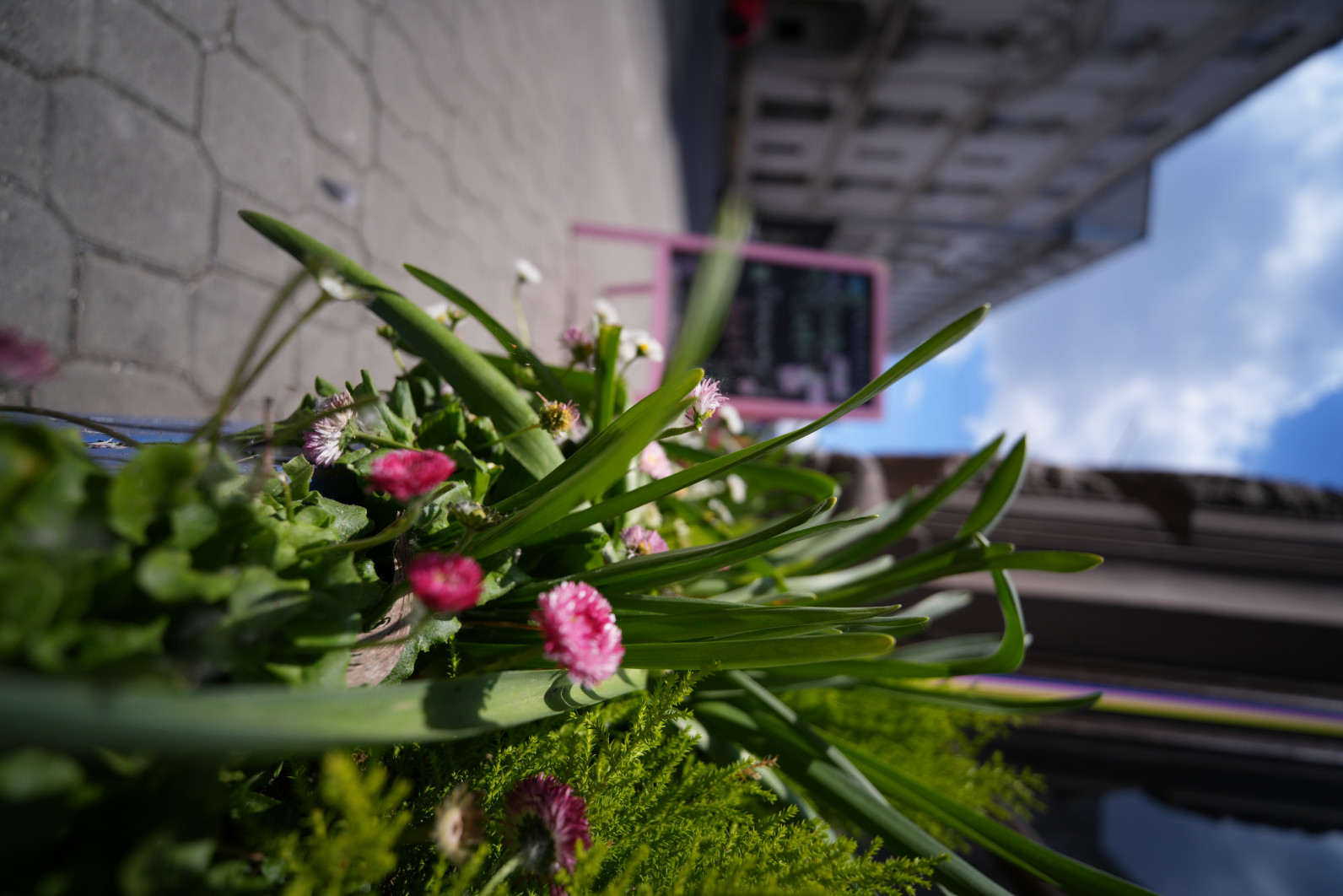 1/2000 s, f/2.8, ISO 100, 14.0 mm