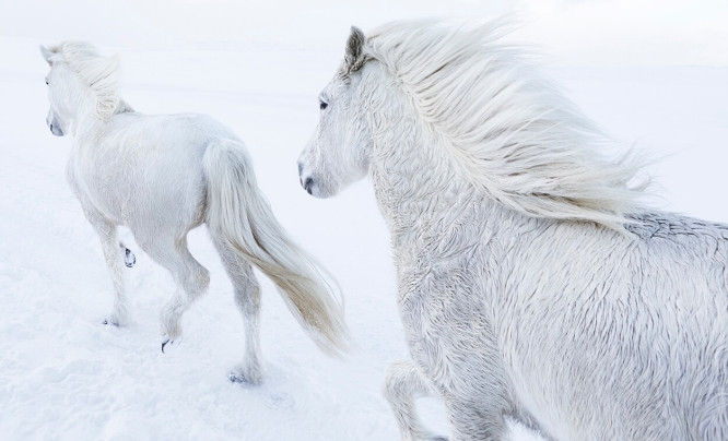  Inspiracja na dziś: Drew Doggett - „In the Realm of Legends"