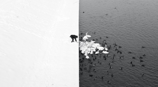 fot. Marcin Ryczek