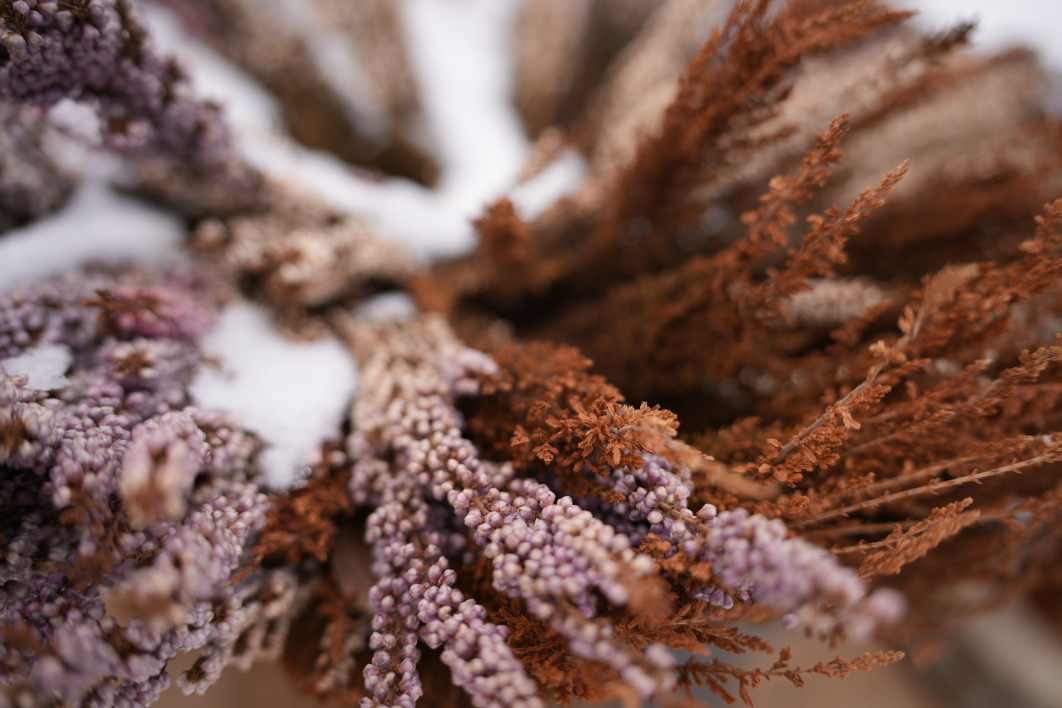 1/1000 s, f/2.8, ISO 200, 35.0 mm