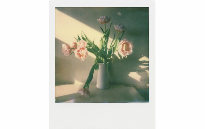 Impossible Project I-1