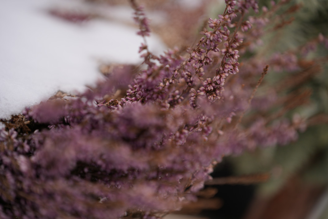 1/1600 s, f/2.8, ISO 200, 100.0 mm