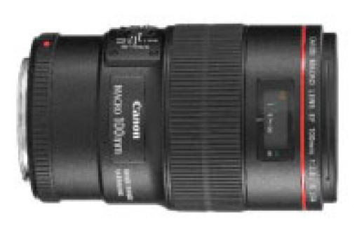 Canon EF 100 mm f/2.8 L Macro IS USM - pełnoklatkowe makro z Hybrid IS