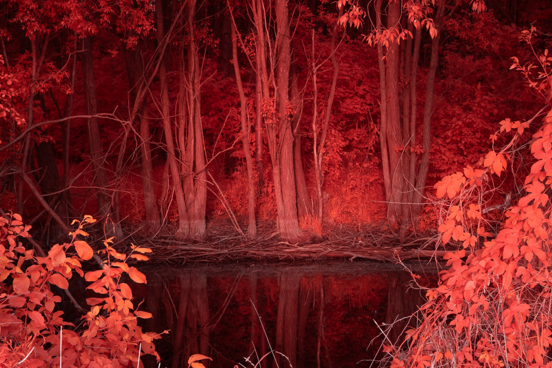 Człowiek i natura w czasach kryzysu klimatycznego. Nowy projekt Michała Adamskiego do zobaczenia we Wrocławiu