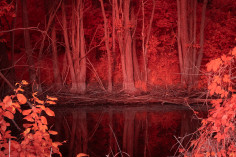Człowiek i natura w czasach kryzysu klimatycznego. Nowy projekt Michała Adamskiego do zobaczenia we Wrocławiu
