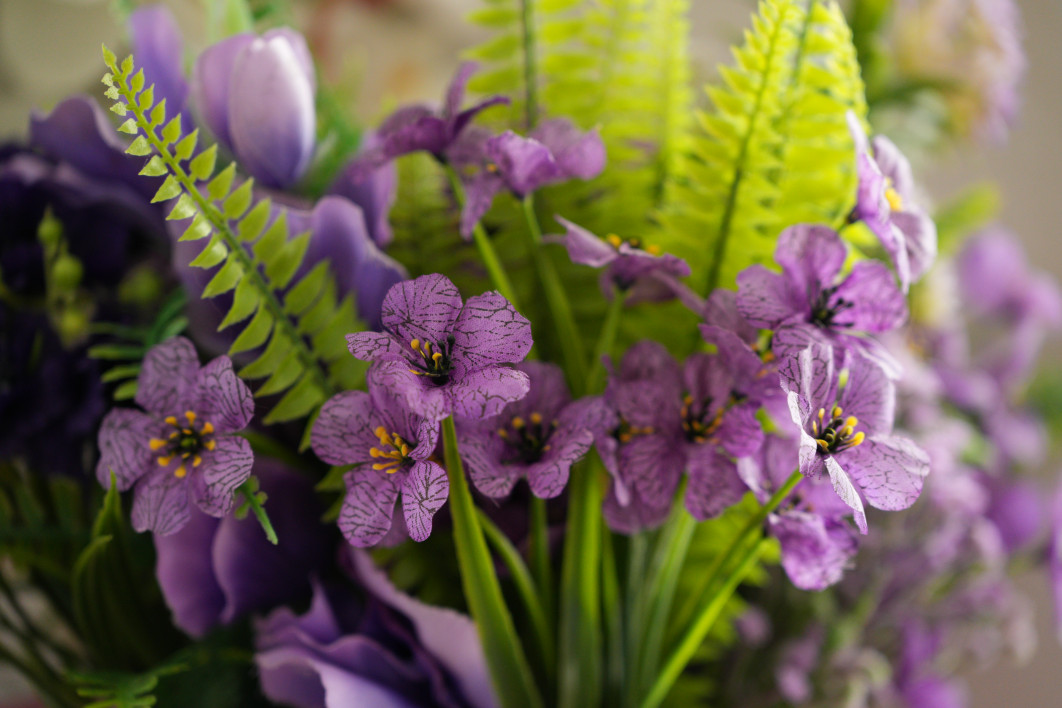 1/50 s, f/2.8, ISO 1600, 100.0 mm