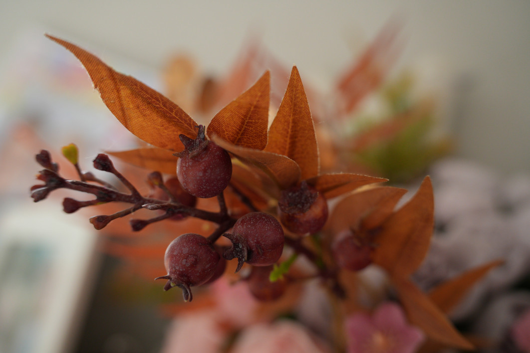 1/40 s, f/4, ISO 1600, 35.0 mm