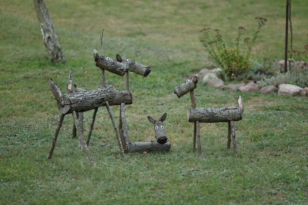 1/400 s, f/2.8, ISO 2500, 200.0 mm