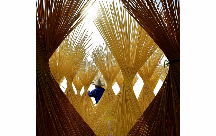 fot. Huaming Zhao, Harvesting Season, nagroda specjalna publiczności.Jesień to czas zbiorów. Bambus cięty jest na mniejsze kawałki, które posłużą do tworzenia wielu różnych rzeczy.