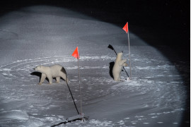fot. Esther Horvath / New York Times, "Polar Bear and her Cub". 1. nagroda w kategorii Environment<br></br><br></br>Niedźwiedzica wraz z młodym podchodzi blisko aparatury badawczej umieszczonej przez załogę statku Polarstern, będącego częścią ekspedycji mającej na celu zbadanie konsekwencji zmian klimatycznych w Arktyce. 