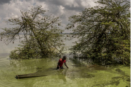 fot. Frederic Noy / Panos Pictures, "Lake Victoria Dying". 3. nagroda w kategorii Environment<br></br><br></br>Nielegalny rybak wyławia łódkę, którą przez większość dnia trzyma w ukryciu pod wodą jez. Wiktorii w Ugandzie. Jezioro Wiktorii, jedne z  wielkich jezior afrykańskich pokrywa teren 60 tys. kilometrów kwadratowych, jednak jego ekosystem zagrożony jest przez odpady przemysłowe, agrykulturę i przełowienie. Szacuje się, że 70% gatunków ryb żyjących w jeziorze zagraża wyginięcie, Dlatego też niedozwolone jest łowienie na małą skalę, przy którym umierają także młode osobniki. Biedni rybacy, nie mając pieniędzy na większe kutry i specjalne sieci nie mają jednak wyboru.