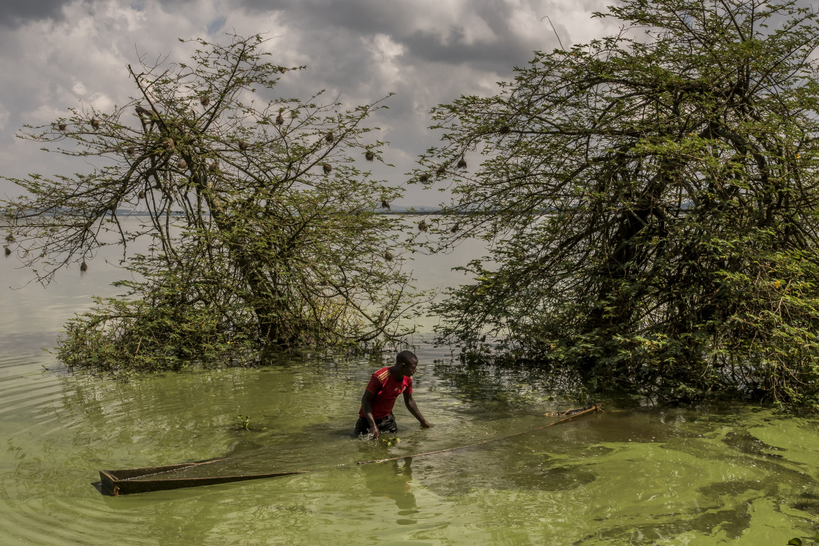 fot. Frederic Noy / Panos Pictures, "Lake Victoria Dying". 3. nagroda w kategorii Environment<br></br><br></br>Nielegalny rybak wyławia łódkę, którą przez większość dnia trzyma w ukryciu pod wodą jez. Wiktorii w Ugandzie. Jezioro Wiktorii, jedne z  wielkich jezior afrykańskich pokrywa teren 60 tys. kilometrów kwadratowych, jednak jego ekosystem zagrożony jest przez odpady przemysłowe, agrykulturę i przełowienie. Szacuje się, że 70% gatunków ryb żyjących w jeziorze zagraża wyginięcie, Dlatego też niedozwolone jest łowienie na małą skalę, przy którym umierają także młode osobniki. Biedni rybacy, nie mając pieniędzy na większe kutry i specjalne sieci nie mają jednak wyboru.