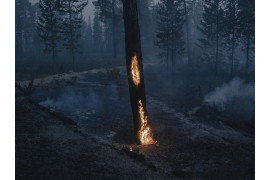 fot. Nanna Heitmann, z cyklu "As Frozen Land Burns", nagroda w okręgu europejskim


<br><br>

Drzewa płoną podczas pożaru lasu w pobliżu miejscowości Kürelyakh, Sacha, Syberia, Rosja, 5 lipca 2021 r.

<br><br>

Sacha, znana również jako Jakucja, rozciągająca się na obszarze ponad trzech milionów kilometrów kwadratowych na dalekim północnym wschodzie Federacji Rosyjskiej, doświadczyła w 2021 r. niszczycielskich pożarów, poważnego zanieczyszczenia dymem i topnienia wiecznej zmarzliny. Według danych Greenpeace Rosja do połowy sierpnia pożary spustoszyły ponad 17,08 mln hektarów - to więcej niż obszary spalone przez pożary w Grecji, Turcji, Włoszech, USA i Kanadzie razem wzięte. Program Monitorowania i Oceny Arktyki donosi, że Arktyka ogrzewa się szybciej niż wynosi średnia światowa.