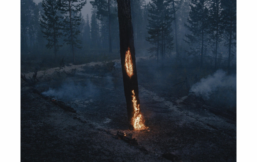 fot. Nanna Heitmann, z cyklu As Frozen Land Burns, nagroda w okręgu europejskim




Drzewa płoną podczas pożaru lasu w pobliżu miejscowości Kürelyakh, Sacha, Syberia, Rosja, 5 lipca 2021 r.



Sacha, znana również jako Jakucja, rozciągająca się na obszarze ponad trzech milionów kilometrów kwadratowych na dalekim północnym wschodzie Federacji Rosyjskiej, doświadczyła w 2021 r. niszczycielskich pożarów, poważnego zanieczyszczenia dymem i topnienia wiecznej zmarzliny. Według danych Greenpeace Rosja do połowy sierpnia pożary spustoszyły ponad 17,08 mln hektarów - to więcej niż obszary spalone przez pożary w Grecji, Turcji, Włoszech, USA i Kanadzie razem wzięte. Program Monitorowania i Oceny Arktyki donosi, że Arktyka ogrzewa się szybciej niż wynosi średnia światowa.