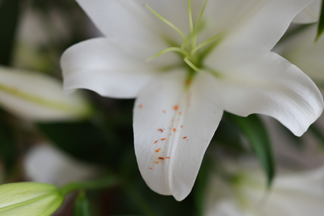 1/60 s, f/2, ISO 800, 35 mm 