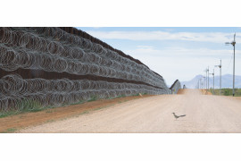 fot. Alejandro Prieto, "Roadrunner Approaching the Border Wall". 2. nagroda w kategorii Nature<br></br><br></br>Mur odgradząjący USA od Meksyku przebiega przez jedne z najbardziej biologicznie zdywersyfikowanych regionów Ameryki Północnej naruszając naturalne środowisko wielu gatunków zwierząt, odcinająm im dostęp do wody i pożywienia. Na zdjęciu struś stojący przed murem w Naco, w stanie Arizona, 28 kwietnia 2019 roku.