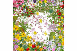 fot. Katsuhiro Noguchi, Flowers of Fukushima