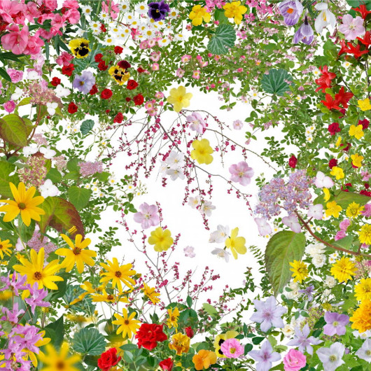 fot. Katsuhiro Noguchi, Flowers of Fukushima