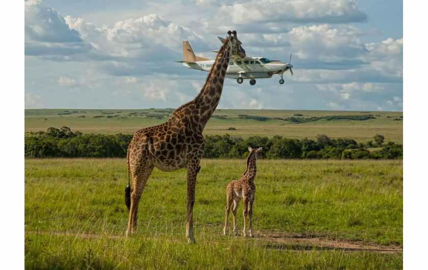 fot. Graeme Guy / Comedy Wildlife Photography Awards