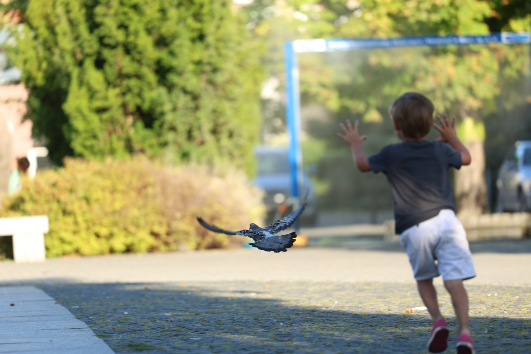 1/500 s, f/2.8, ISO 100, 200.0 mm