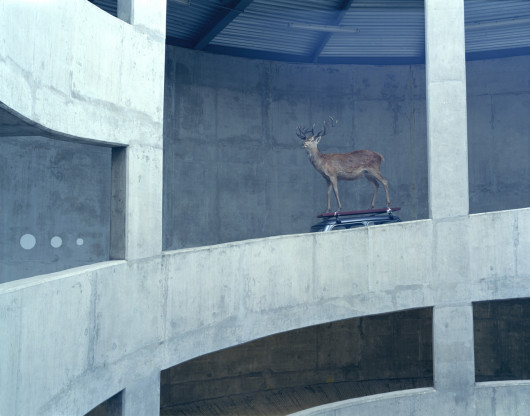 fot. Julia Fullerton-Batten